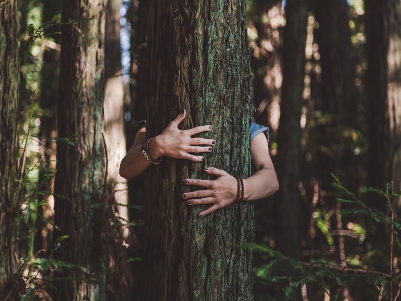 trent haaland yIsjn IGWqc unsplash2
